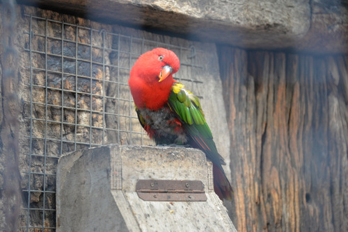 World of Birds Wildlife Sanctuary.